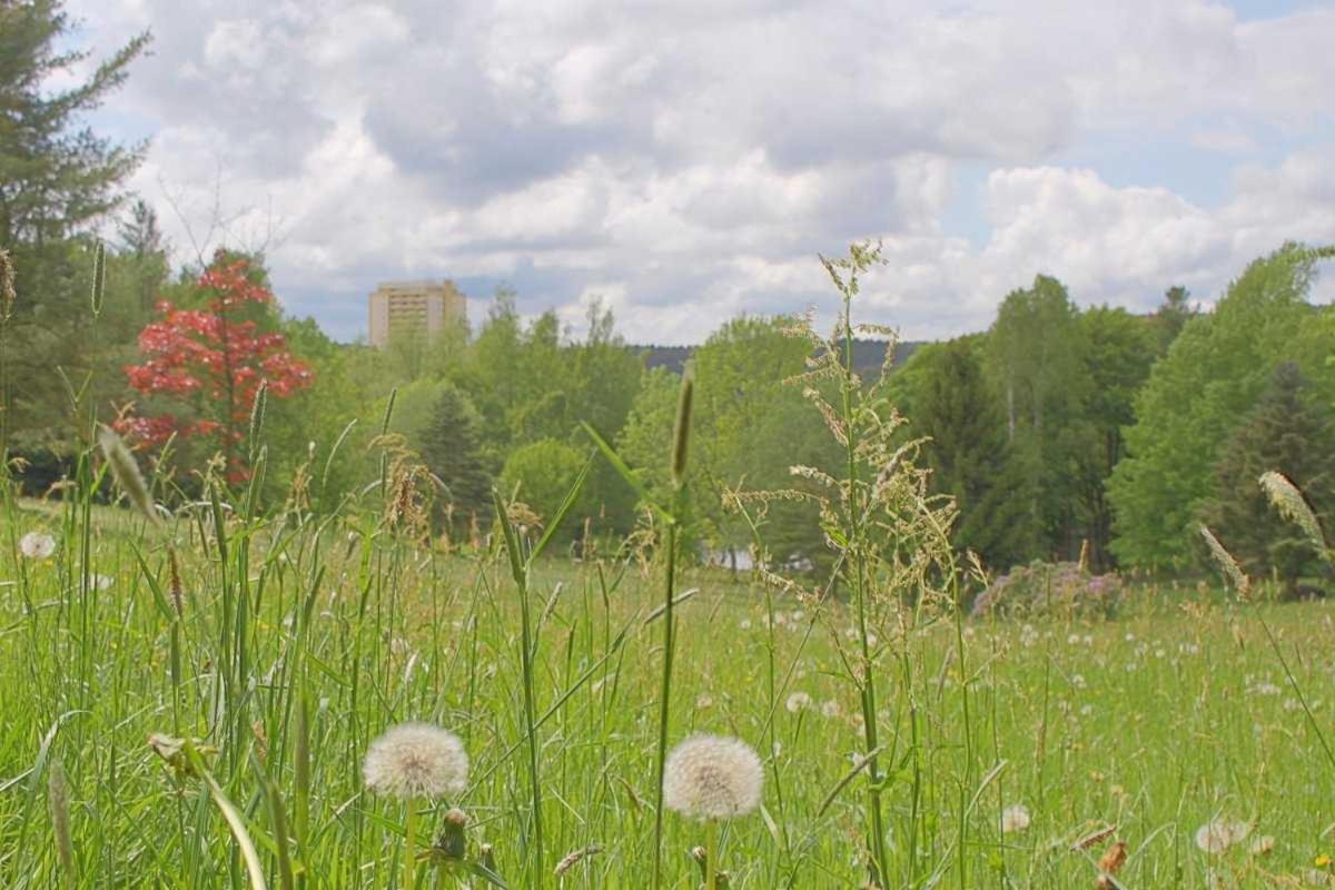 Apartment 475 Hohegeiß エクステリア 写真